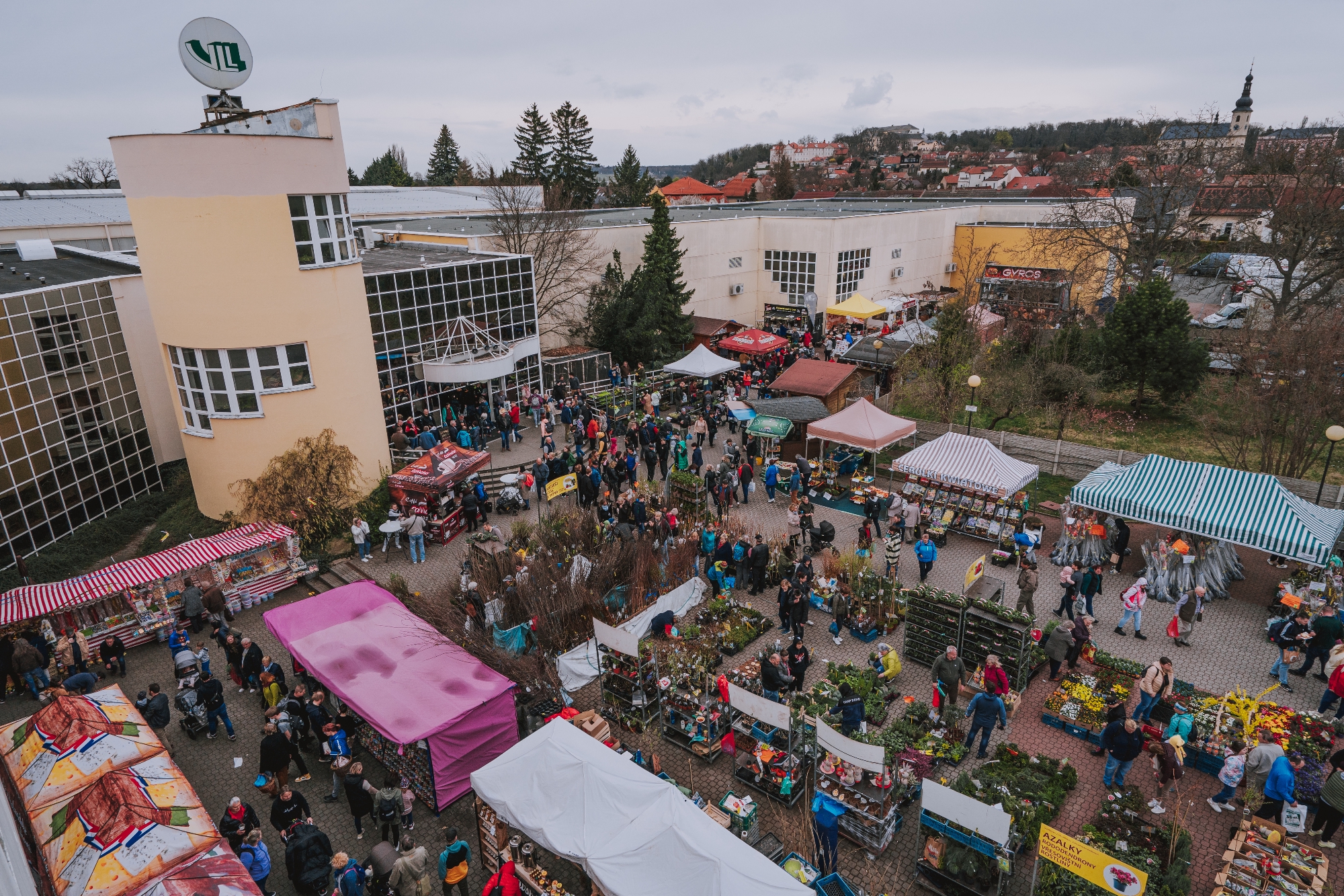 Cv Chovatel Listopadu V Stavi T Lys Nad Labem